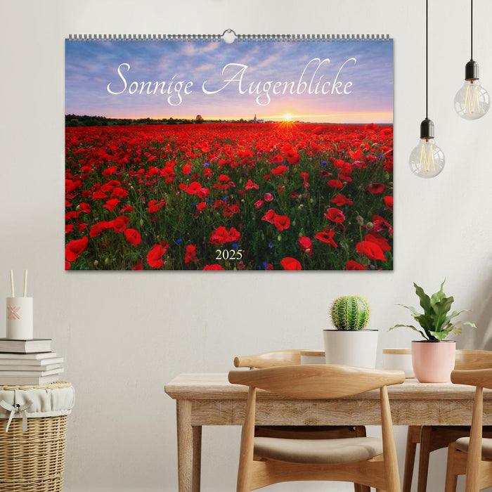 Sonnige Augenblicke (CALVENDO Wandkalender 2025)