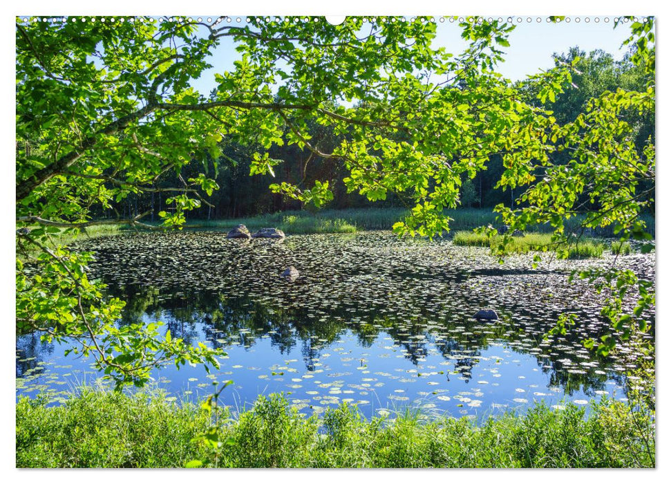 Schwedens Seen (CALVENDO Premium Wandkalender 2025)