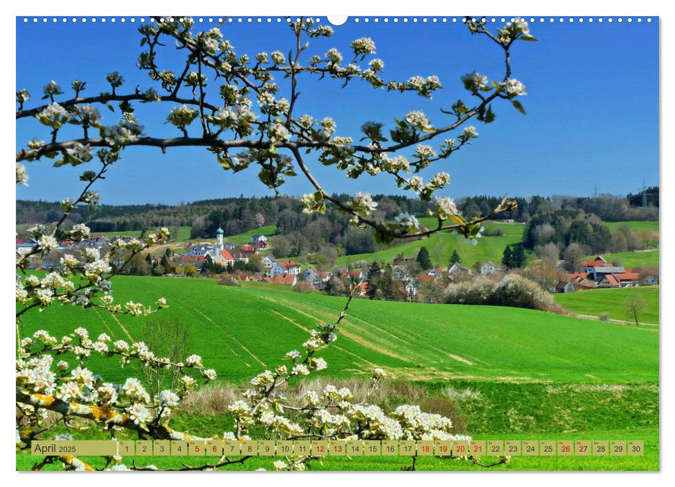 Die Stauden, Naturpark in den westlichen Wälder Augsburgs (CALVENDO Wandkalender 2025)