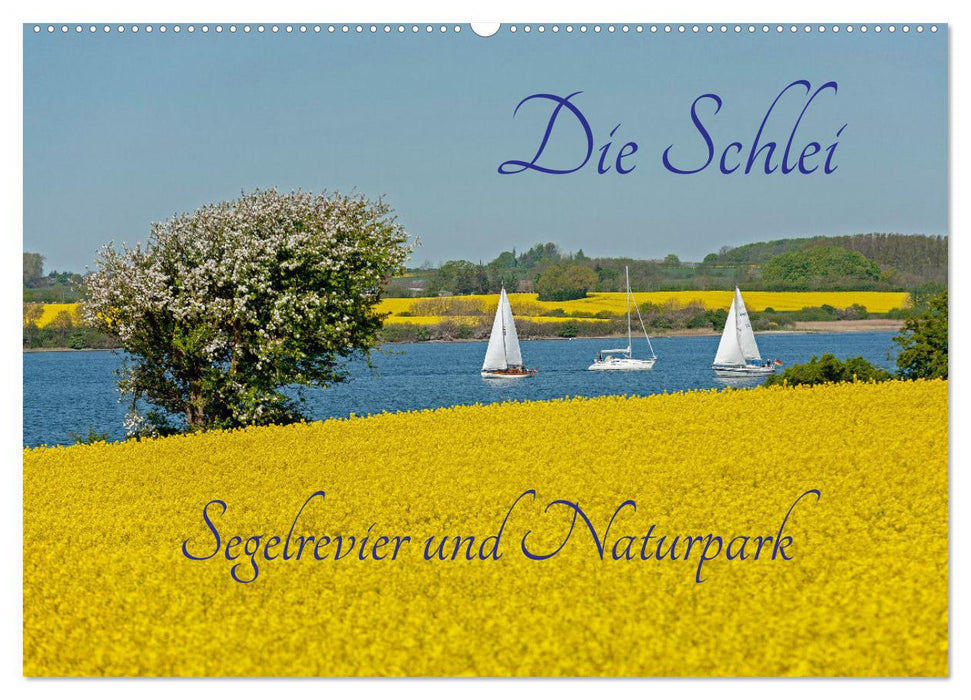 Die Schlei - Segelrevier und Naturpark (CALVENDO Wandkalender 2025)