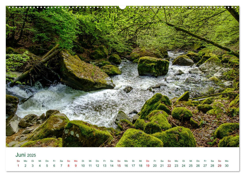 Feldaisttal bei Pregarten (CALVENDO Premium Wandkalender 2025)