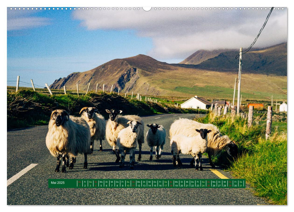 Wir sehen uns in Irland - Ring of Beara und Ring of Kerry (CALVENDO Premium Wandkalender 2025)