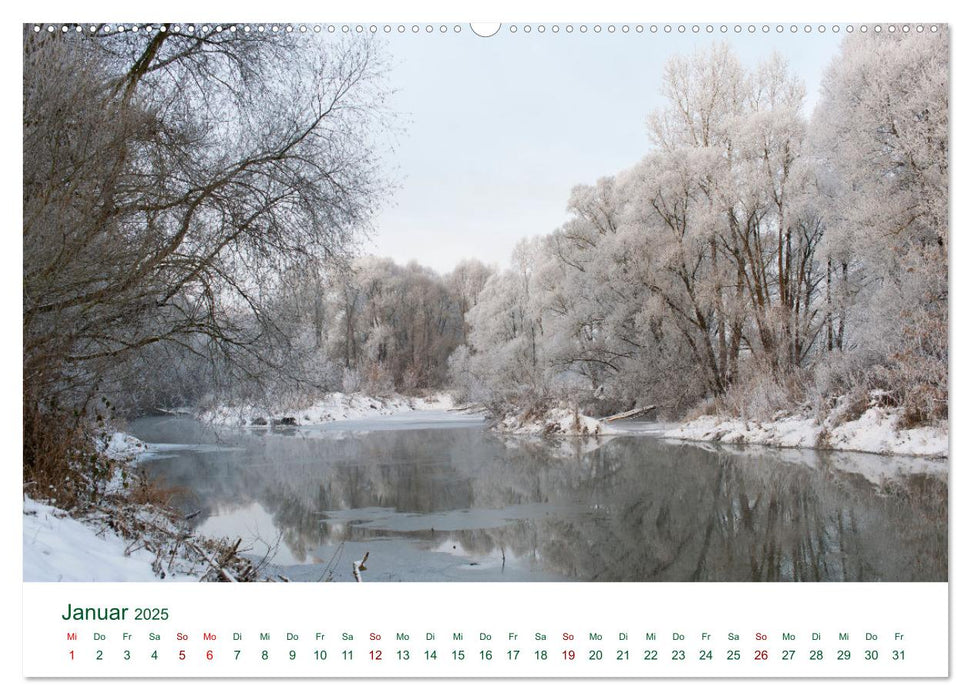 Auwälder bei Enns (CALVENDO Premium Wandkalender 2025)