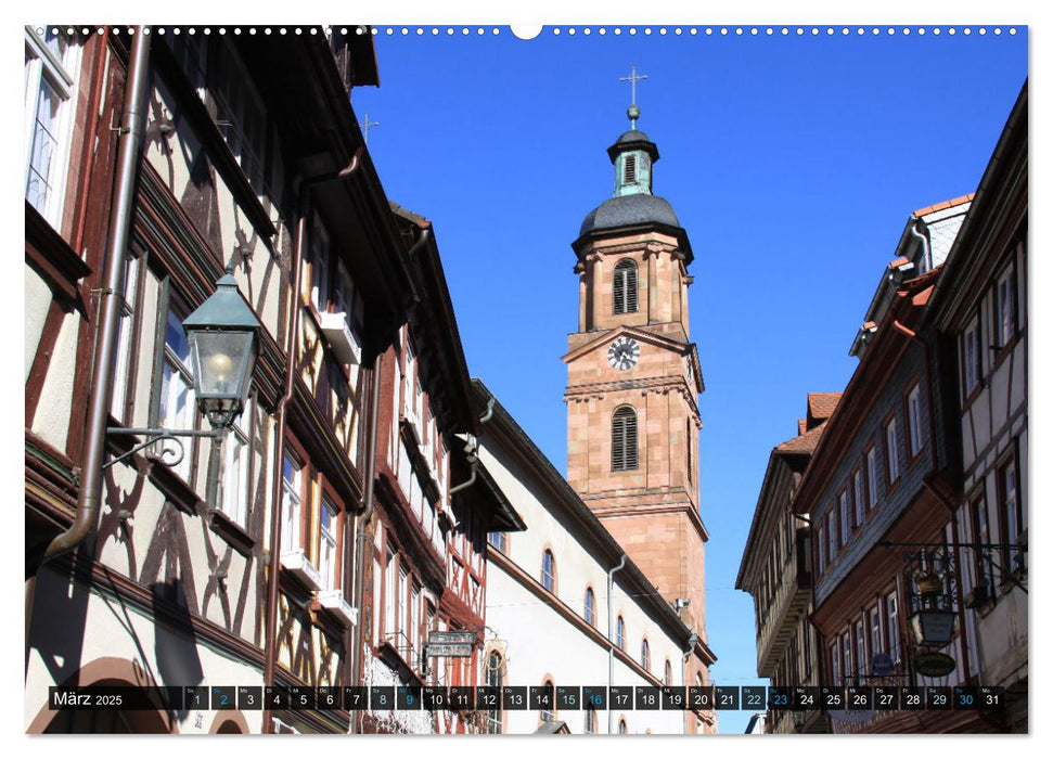 Wanderbares Miltenberg (CALVENDO Premium Wandkalender 2025)