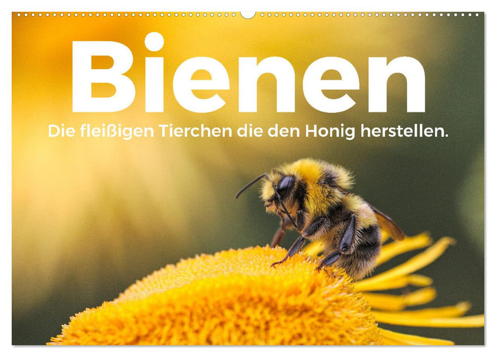 Bienen - Die fleißigen Tierchen die den Honig herstellen. (CALVENDO Wandkalender 2025)