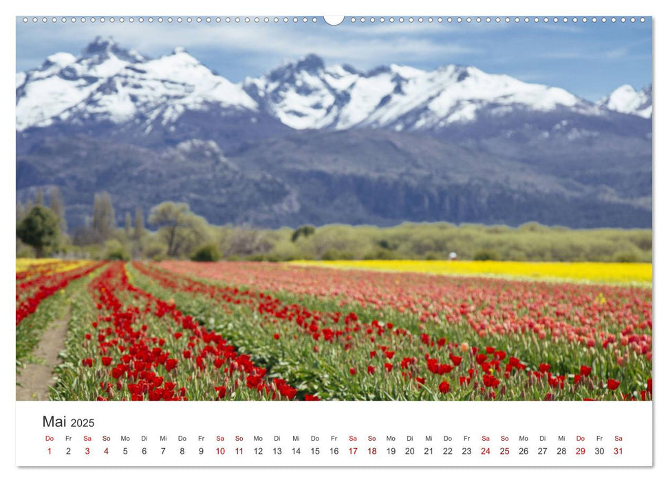 Argentinien - Das bezaubernde Land in Südamerika. (CALVENDO Wandkalender 2025)