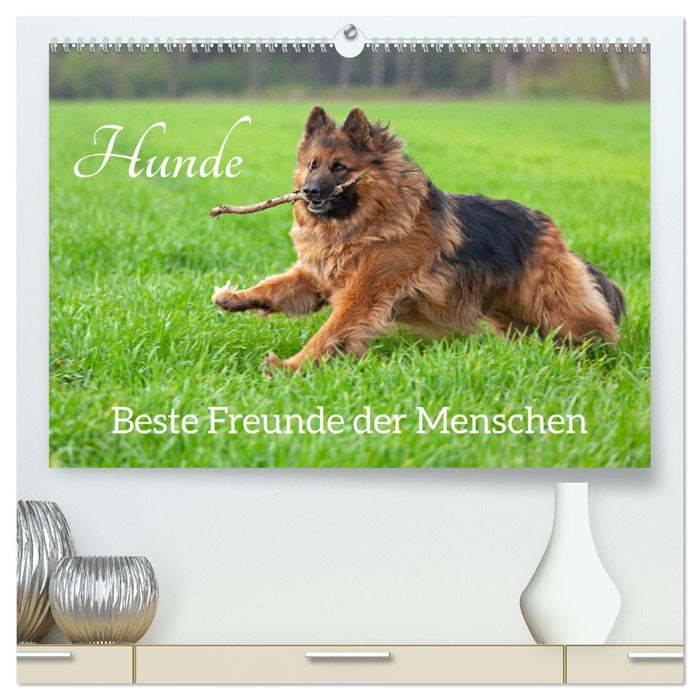 Hunde - Beste Freunde der Menschen (CALVENDO Premium Wandkalender 2025)