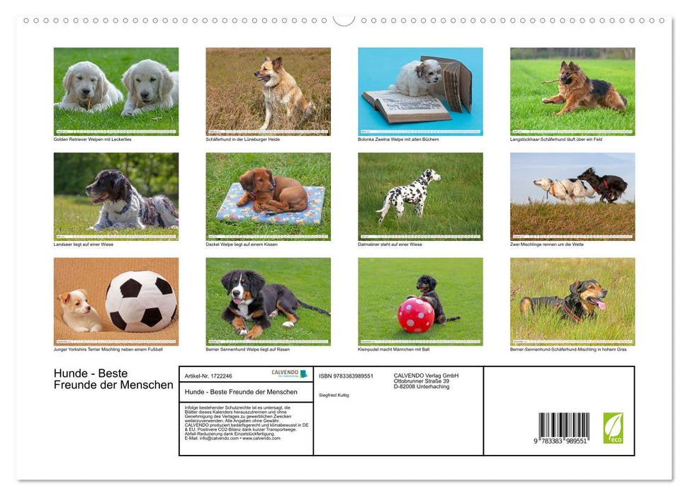 Hunde - Beste Freunde der Menschen (CALVENDO Premium Wandkalender 2025)