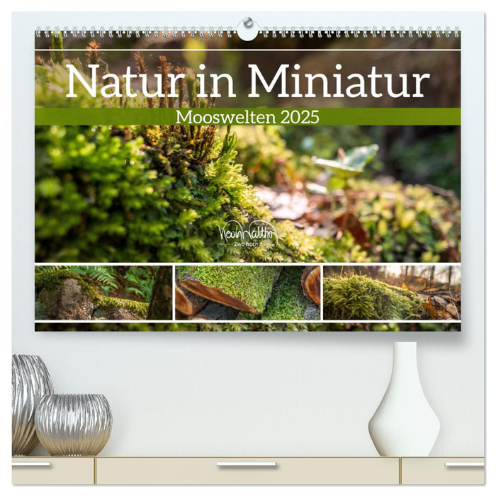 Natur in Miniatur - Mooswelten (CALVENDO Premium Wandkalender 2025)