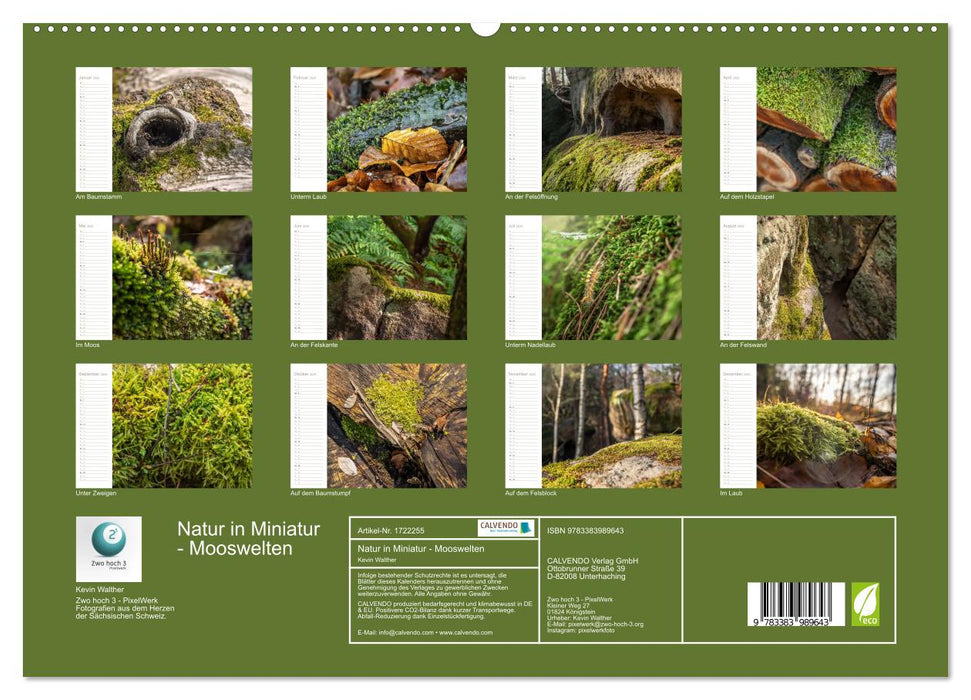 Natur in Miniatur - Mooswelten (CALVENDO Premium Wandkalender 2025)