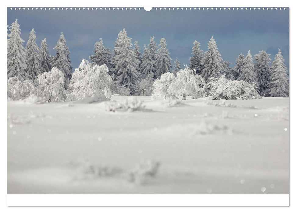 SAUERLAND – Besondere Orte (CALVENDO Premium Wandkalender 2025)