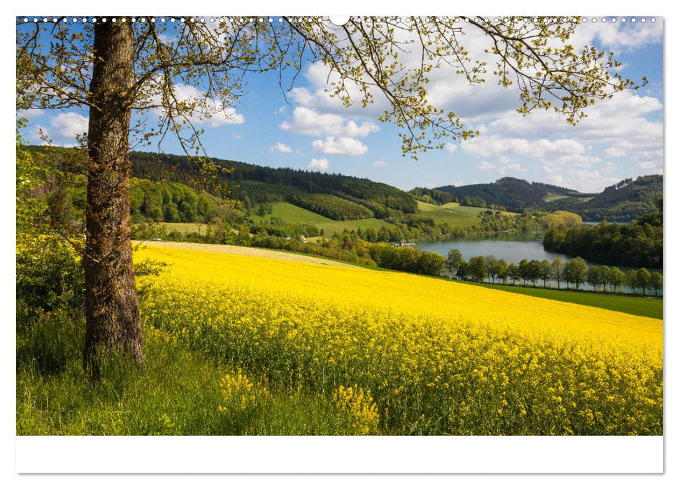 SAUERLAND – Besondere Orte (CALVENDO Premium Wandkalender 2025)