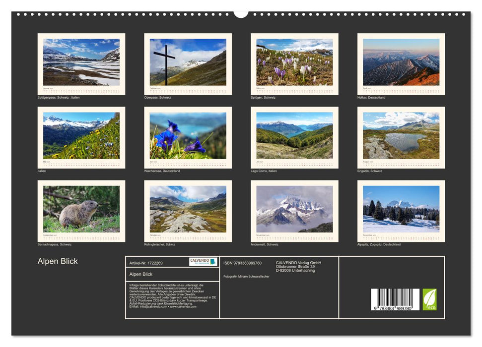 Alpen Blick (CALVENDO Premium Wandkalender 2025)