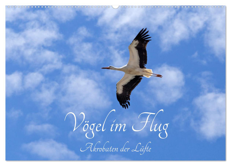 Vögel im Flug - Akrobaten der Lüfte (CALVENDO Wandkalender 2025)