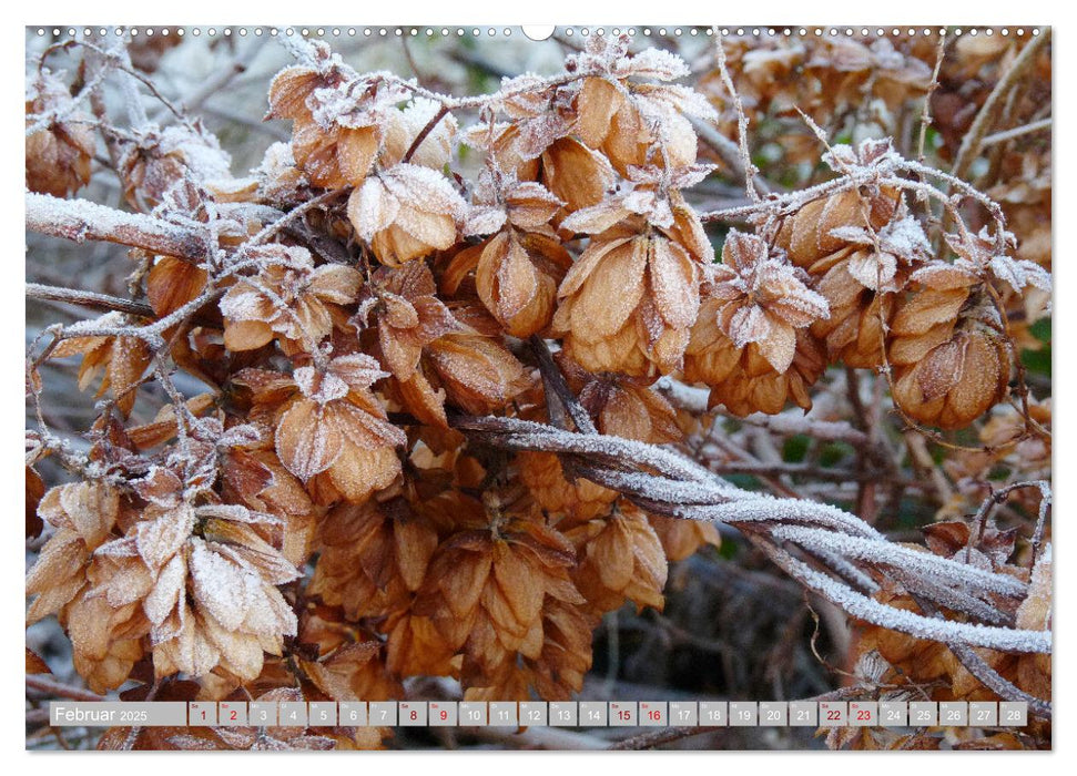 Natur, die bezaubert (CALVENDO Premium Wandkalender 2025)