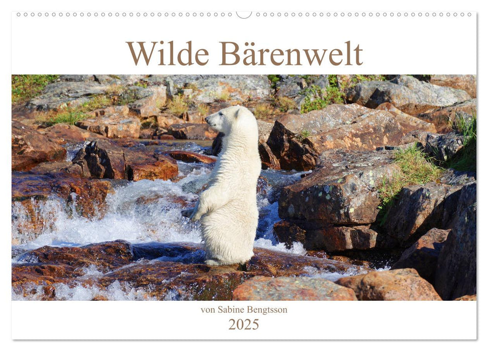 Wilde Bärenwelt (CALVENDO Wandkalender 2025)