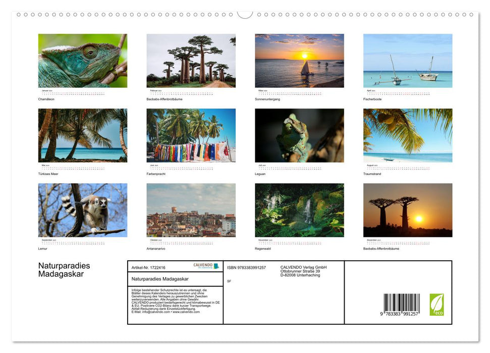 Naturparadies Madagaskar (CALVENDO Premium Wandkalender 2025)