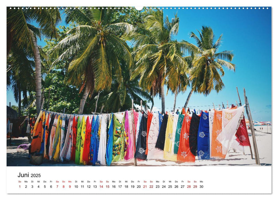 Naturparadies Madagaskar (CALVENDO Premium Wandkalender 2025)