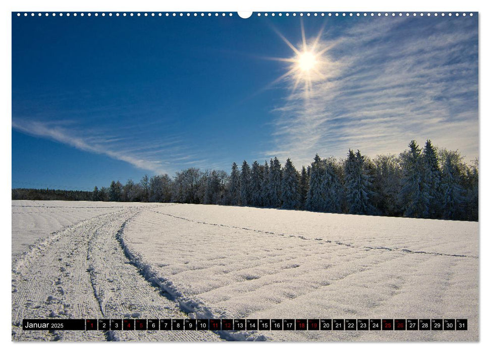 Im Thüringer Wald (CALVENDO Premium Wandkalender 2025)