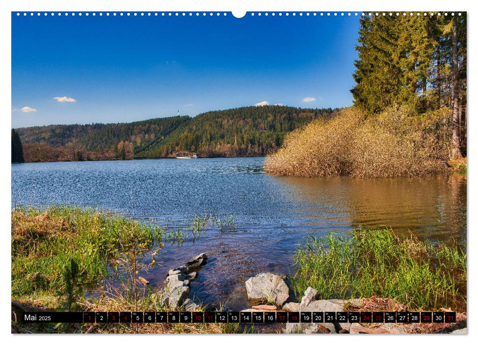 Im Thüringer Wald (CALVENDO Premium Wandkalender 2025)