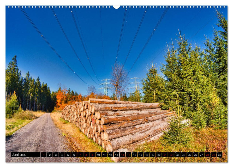 Im Thüringer Wald (CALVENDO Premium Wandkalender 2025)