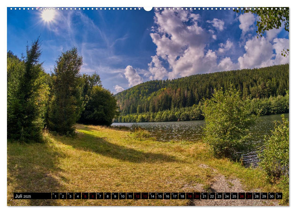 Im Thüringer Wald (CALVENDO Premium Wandkalender 2025)