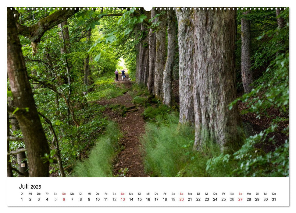 Wittgenstein – Eine Region mit beeindruckend schöner Landschaft (CALVENDO Premium Wandkalender 2025)