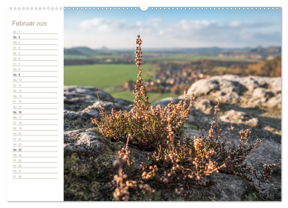 Zauberhaftes Heidekraut - Elbsandstein (CALVENDO Premium Wandkalender 2025)