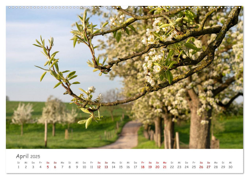 Heimat Entdecken: Bergisches Land (CALVENDO Premium Wandkalender 2025)