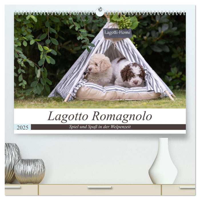 Lagotto Romagnolo - Spiel und Spaß in der Welpenzeit (CALVENDO Premium Wandkalender 2025)