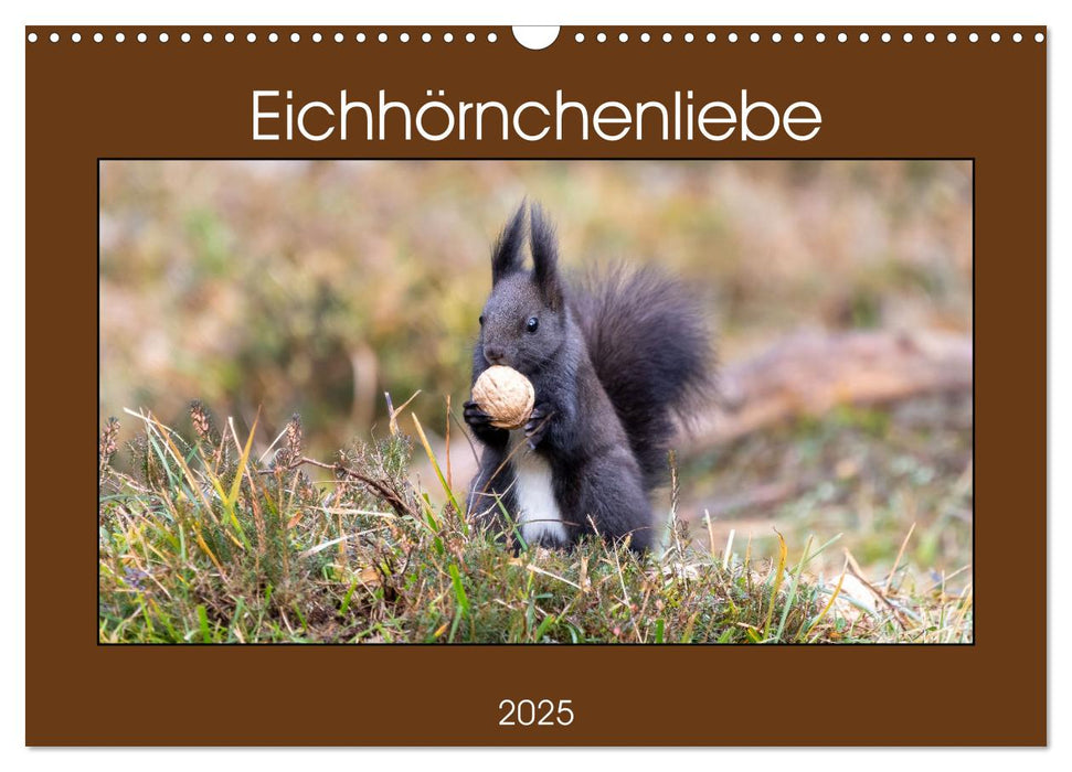 Eichhörnchenliebe (CALVENDO Wandkalender 2025)