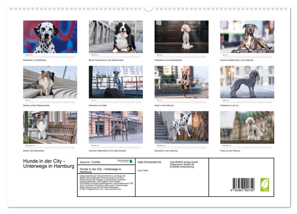 Hunde in der City - Unterwegs in Hamburg (CALVENDO Premium Wandkalender 2025)