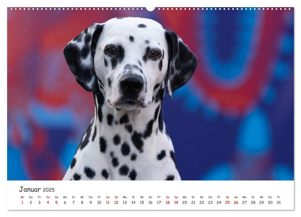 Hunde in der City - Unterwegs in Hamburg (CALVENDO Premium Wandkalender 2025)