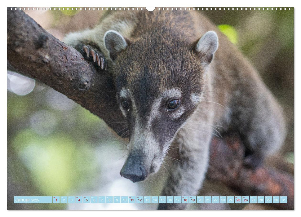 Mexiko - Die wunderschöne Halbinsel Yucatán Fotokalender 2025 (CALVENDO Premium Wandkalender 2025)