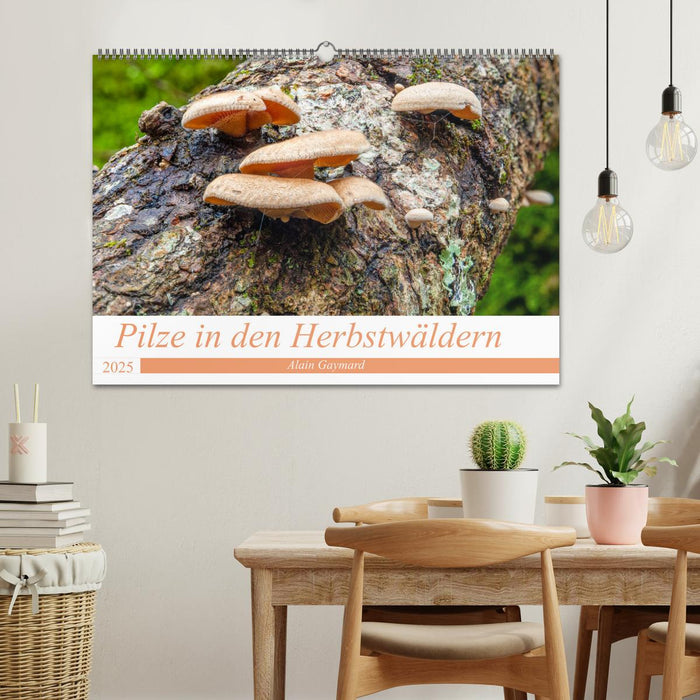 Pilze in den Herbstwäldern (CALVENDO Wandkalender 2025)