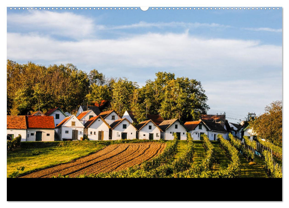 Das Weinviertel im wunderschönen Niederösterreich. (CALVENDO Premium Wandkalender 2025)