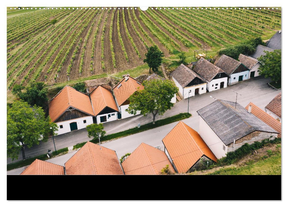 Das Weinviertel im wunderschönen Niederösterreich. (CALVENDO Premium Wandkalender 2025)