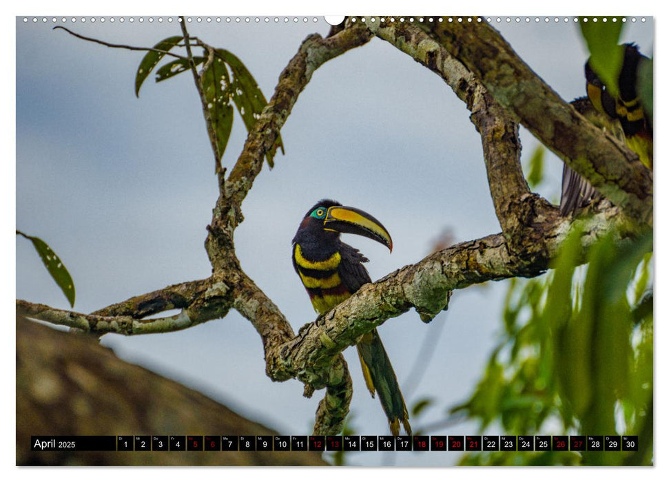 Ecuador - Naturparadies am Äquator (CALVENDO Wandkalender 2025)