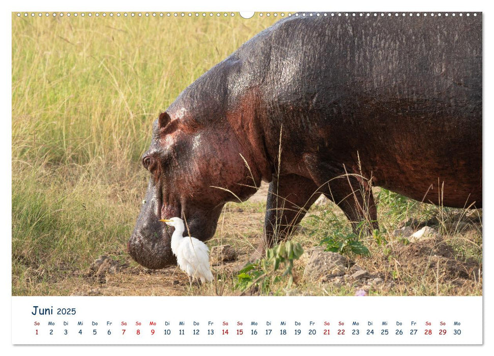 Fernweh Uganda - Naturschönheit Ostafrikas (CALVENDO Premium Wandkalender 2025)