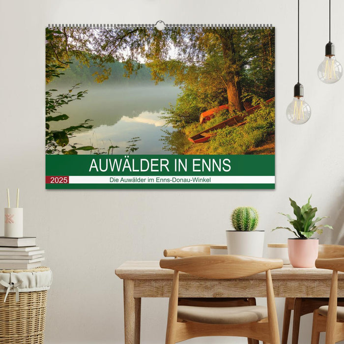 Auwälder bei Enns (CALVENDO Wandkalender 2025)