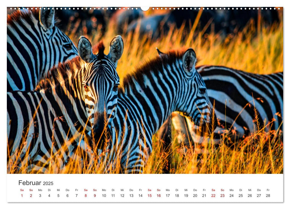 Kenia - Eine Safari durch unberührte Natur. (CALVENDO Premium Wandkalender 2025)