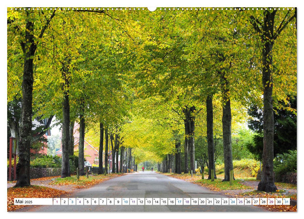 Föhr - Wasser Landschaft Wind und Meer (CALVENDO Wandkalender 2025)