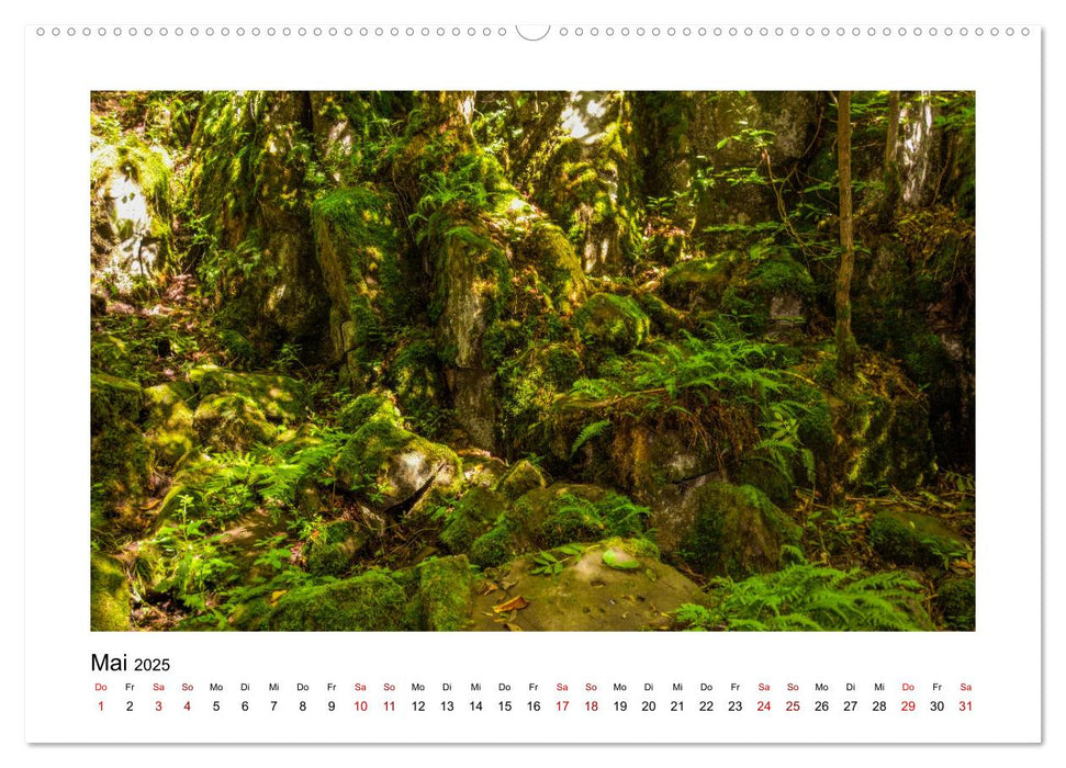 Stimmungsvolle Rhön (CALVENDO Premium Wandkalender 2025)