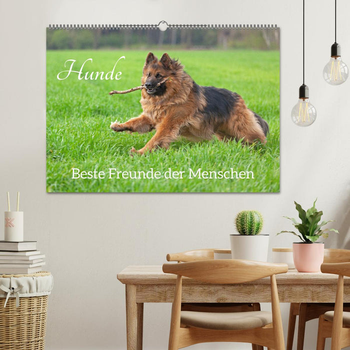 Hunde - Beste Freunde der Menschen (CALVENDO Wandkalender 2025)