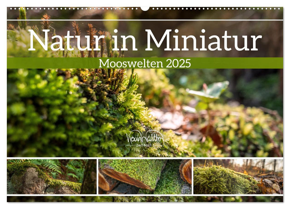 Natur in Miniatur - Mooswelten (CALVENDO Wandkalender 2025)