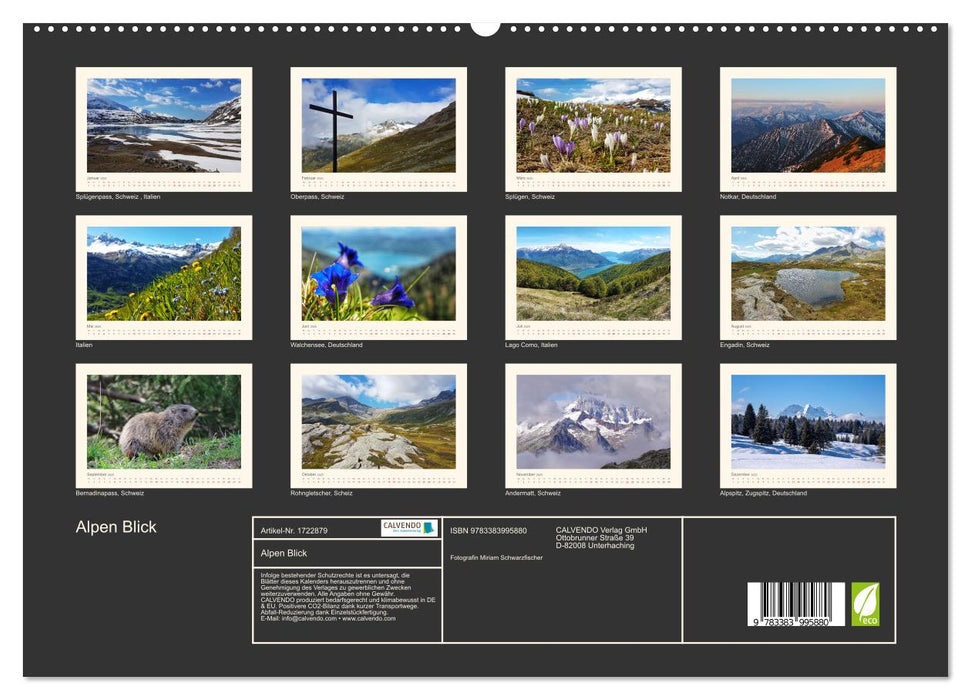 Alpen Blick (CALVENDO Wandkalender 2025)