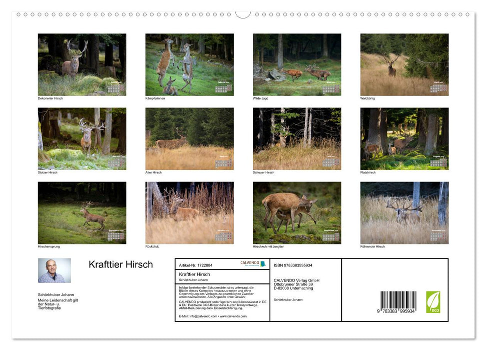 Krafttier Hirsch (CALVENDO Premium Wandkalender 2025)