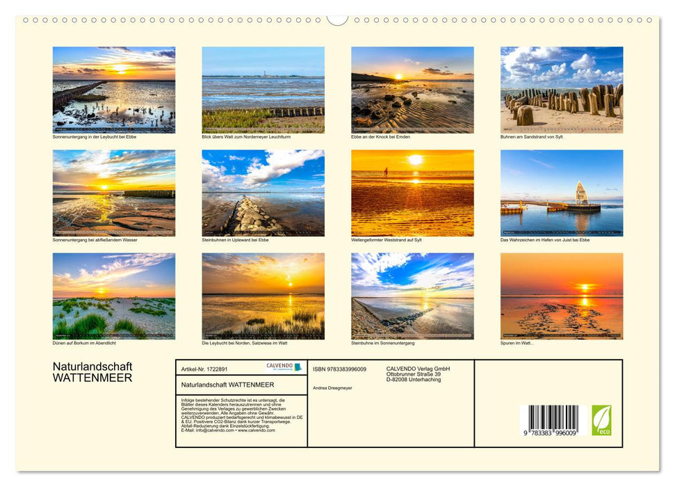 Naturlandschaft WATTENMEER (CALVENDO Premium Wandkalender 2025)