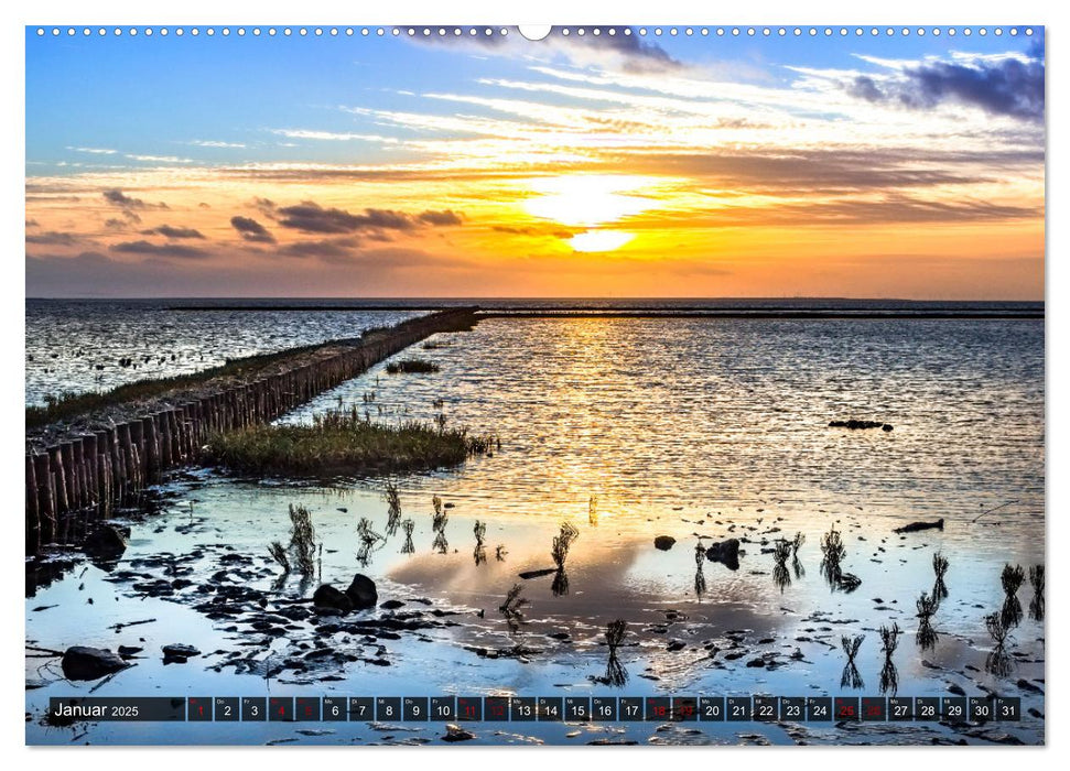 Naturlandschaft WATTENMEER (CALVENDO Premium Wandkalender 2025)