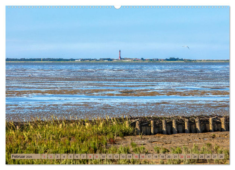 Naturlandschaft WATTENMEER (CALVENDO Premium Wandkalender 2025)